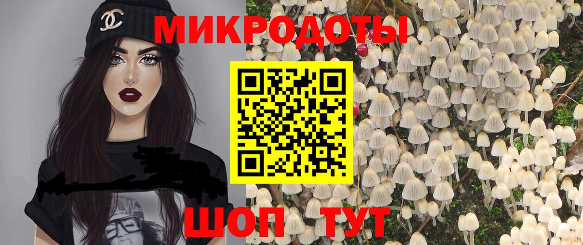 Дмитров  Псилоцибиновые грибы Psilocybe  Вход с VPN 
