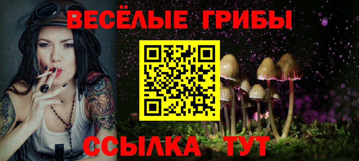 Псилоцибиновые грибы Psilocybine cubensis Дмитров
